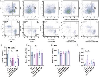 HDC downregulation induced by chronic stress promotes ovarian cancer progression via the IL-6/STAT3/S100A9 pathway